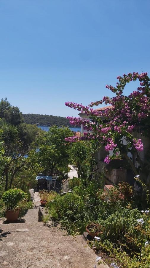Apartment Maja Mali Lošinj Exterior foto