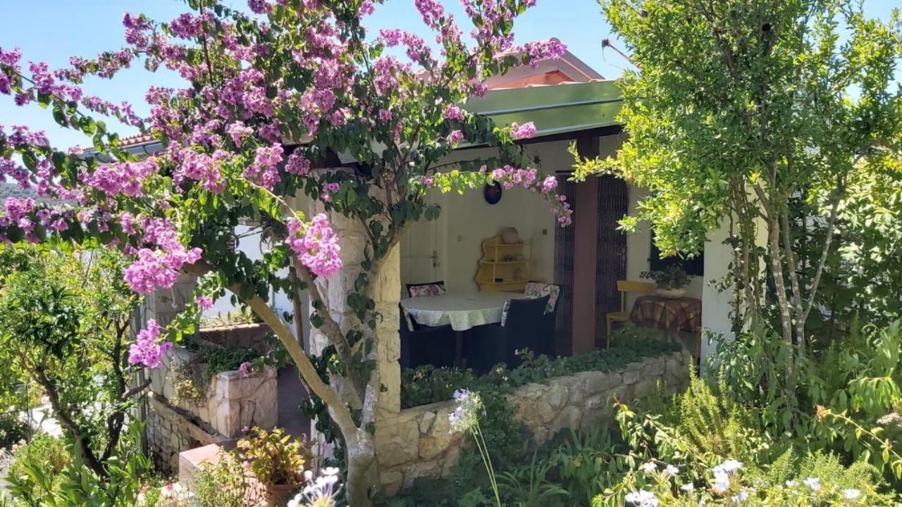 Apartment Maja Mali Lošinj Exterior foto